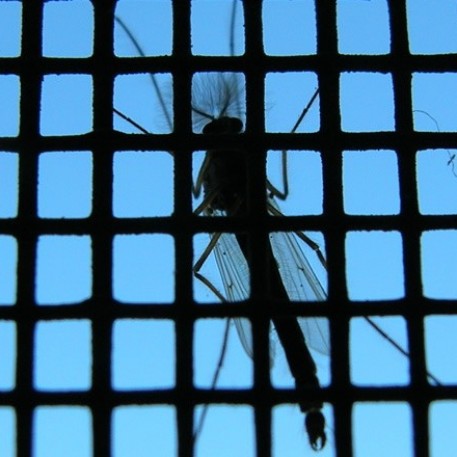 AJM komarniki vam nudijo učinkovito zaščito pred mrčesom.